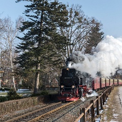 DSC5270 : Germany, HSB, Harz
