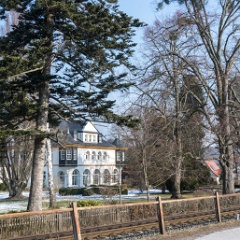 DSC5298 : Germany, HSB, Harz