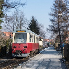 DSC5340 : Germany, HSB, Harz