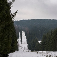 DSC5661 : Germany, Harz, Iron Curtain, Sorge