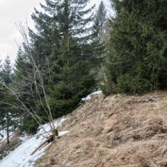 DSC5706 : Germany, Harz, Sorge