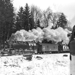 DSC5720-2 : Germany, HSB, Harz