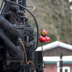 DSC5734 : Germany, HSB, Harz
