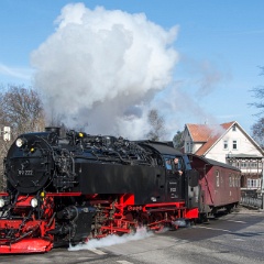 DSC5822 : Germany, HSB, Harz
