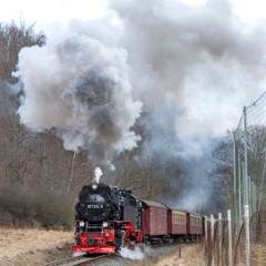 DSC6028 : Germany, HSB, Harz