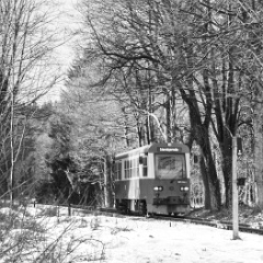 DSC6106 : Germany, HSB, Harz