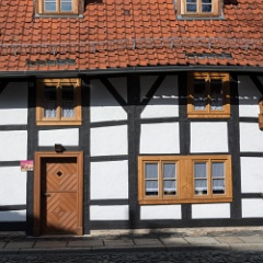 DSC6467 : Germany, HSB, Harz