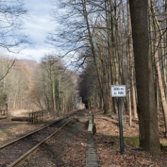 DSC6481 : Germany, HSB, Harz