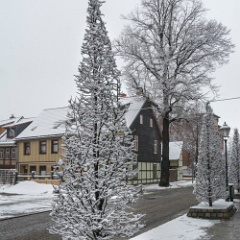 DSC6998 : Germany, Harz, Wernigerode