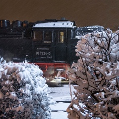 DSC7043 : Germany, HSB, Harz