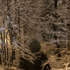 DSC7120 : Germany, HSB, Harz