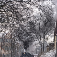 DSC7235 : Germany, HSB, Harz
