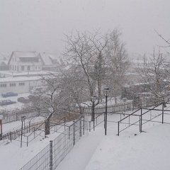 DSC7901 : Germany, Harz, Wernigerode