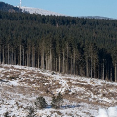 DSC3536 : Germany, HSB, Harz, Rubeland
