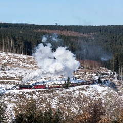 DSC3575 : Germany, HSB, Harz, Rubeland