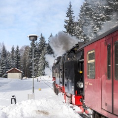 DSC4213 : Germany, HSB, Harz