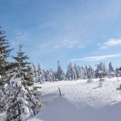 DSC4253 : Germany, HSB, Harz