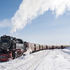 DSC4265 : Germany, HSB, Harz