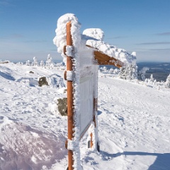 DSC4283 : Germany, HSB, Harz
