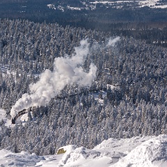 DSC4334 : Germany, HSB, Harz