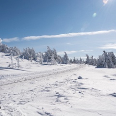DSC4376 : Germany, HSB, Harz