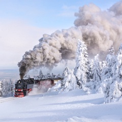 DSC4415 : Germany, HSB, Harz