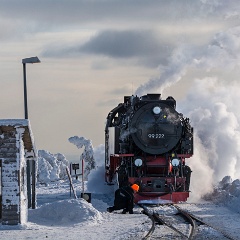 DSC4524 : Germany, HSB, Harz