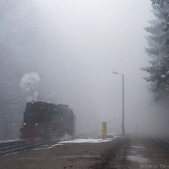 DSC9272 : Germany, HSB, Harz