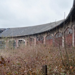 DSC9340 : Germany, HSB, Harz