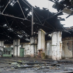 DSC9356 : Germany, HSB, Harz