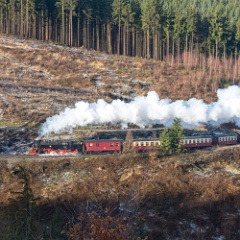 DSC1908  99 7240 and train on the climb towards Drei Annen Hohne. : Germany, HSB, Harz