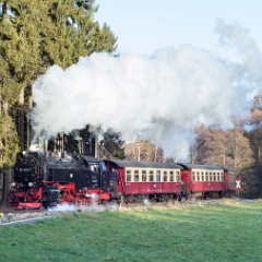 DSC1139  99 7240 with the 13:57 from Gernrode on the climb to Sternhaus Ramberg. : Germany, HSB, Harz