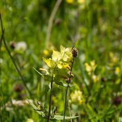 DSC3501 : Austria, Mariazell, Vienna