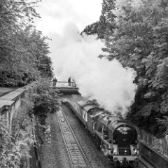 DSC9062 : 34046, Braunton. Saphos Torbay, Somerset