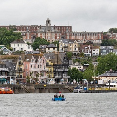 DSC9072 : Devon, River Dart