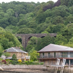 DSC9090 : Devon, River Dart