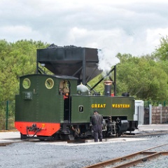 DSC9120 : Vale of Rheidol Railway, Wales