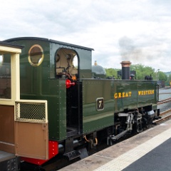 DSC9135 : Vale of Rheidol Railway, Wales