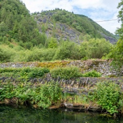 DSC9184 : North Wales, Talyllyn Railway