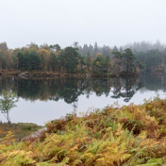 DSC5884  Tarn Hows on a dull but still day. : Lake District