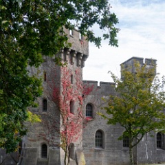 DSC1387 : North Wales