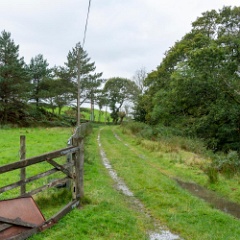 DSC1511 : North Wales