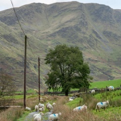 DSC1522 : North Wales