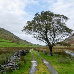 DSC1542 : North Wales