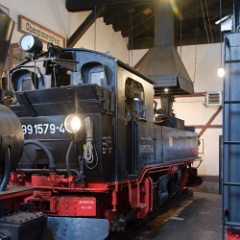 DSC6266  Inside the loco depot at Oberrittersgrun are 3 750mm gauge locos. : Germany