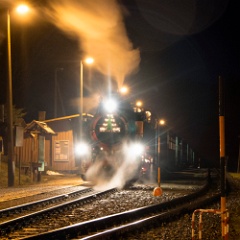 DSC7061  The 16:37 from Cranzahl, hauled by 99 1772, stands at Kretscham-Rothensehma. : Germany