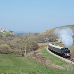 DSC1127  80104 climbs away from Corfe Castle with the 12:00 Norden to Swanage train. : Swanage